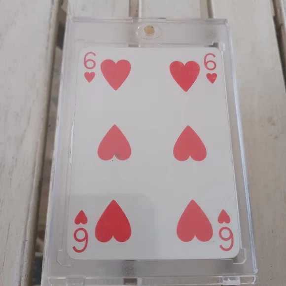 LOUIS VUITTON PLAYING CARD IN HARD CASE - Picture 2 of 2